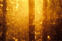 ​2023超好听男生励志网名大全 ╃坐在蘤園看日落╃