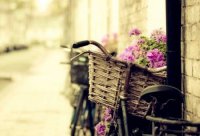 ​霸道猥琐的男生游戏网名2023