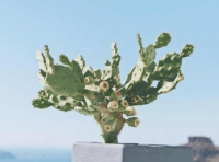 ​问道手游网名