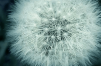 ​社会人心最现实的网名、指甲尖锐留着割脉i