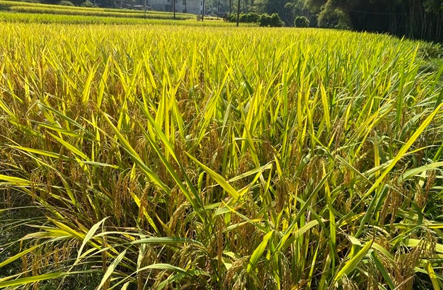 当幸福来敲门说说心情 当幸福来敲门说说心情