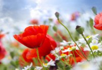 ​神武游戏网名