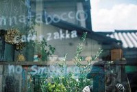 ​男生网名唯美阳光安静