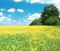 ​手机扣扣网名怎么改