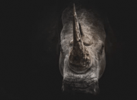 ​倩女幽魂手游网名