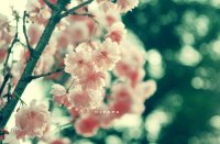 ​好想出去旅游放空自己的说说 好想出去旅游说说心情