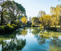 ​王者荣耀网名名字女生 膽量外╀５丈&gam