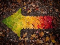 ​梦幻西游5开名字大全最拉风