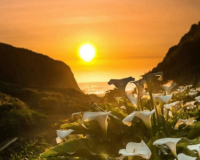 ​可爱的女生网红名字 噜噜噜瓜oo