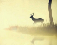 ​虐心网名女生文艺