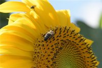 ​心情励志的句子正能量（励志句子唯美温馨，满满的正能量，送给阳光向上的你）