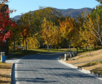 ​带丽字的网名小清晰