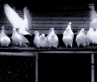 ​心情特别无奈的句子朋友圈说说