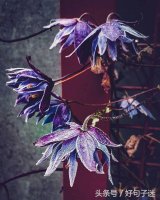 ​一句话表达糟糕的心情，句句戳中泪点，送给身心疲惫的00后！