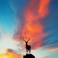 ​讨厌喝酒的人心情说说经典句子(微信最近很火的心情句子，我讨厌酒的味道，却爱