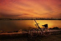 ​心情不好悲伤的唯美短句