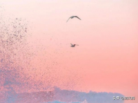 ​心冷了人累了想放手了唯美句子说说心情