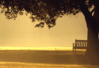 ​火山小视频起个网名