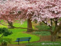 ​心情唯美句子大全 ，不同心情不同的理解