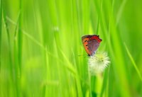 ​正能量的微信名男