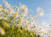 ​好听俏皮的网名 ︶ㄣ灬壞壞ゞ