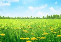 ​正能量的微信号网名