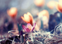 ​三字网名霸气冷酷_九千岁