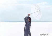 ​晴朗的天气美好的心情说说_甚好的唯美短句107句