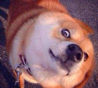 ​游戏名字搞笑 帝皇侠