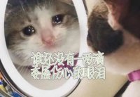 ​被人冤枉的句子说说心情(短句简短一点)