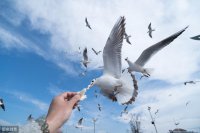 ​爱拍圣光的心情微博说说（25句美照发朋友圈的精美句子）