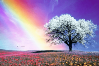 ​失恋后的qq网名