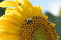 ​一个人释放心情的美句（20句女人看淡一切释然短句）