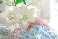 ​2023年适合自己的心情语录(内心充满阳光的精选文案)