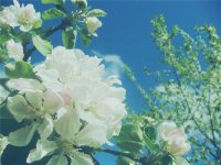 ​小清新句子青春好听(心情悠闲的小清新句子)