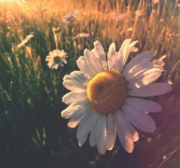 ​2到8个字的网名