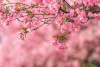 ​思念远方情人经典短句（写给远方情人的暖心话）