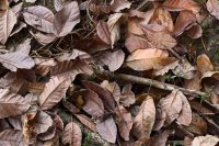 ​经典走心的句子(感悟深刻读懂受益终身)