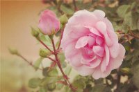 ​20条人生哲理短句(通讯录里的名字上百个心事却不知找谁说)