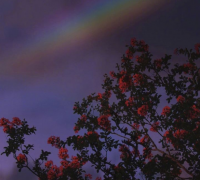 ​暖心欢迎回家短句精选（25句欢迎回家超甜的句子）