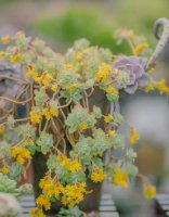 ​回家的暖心短句（12句回家的精美短句）