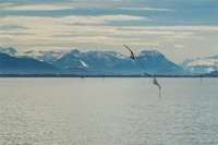 ​个性的抖音网名