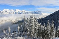 ​魔力宝贝私服网名