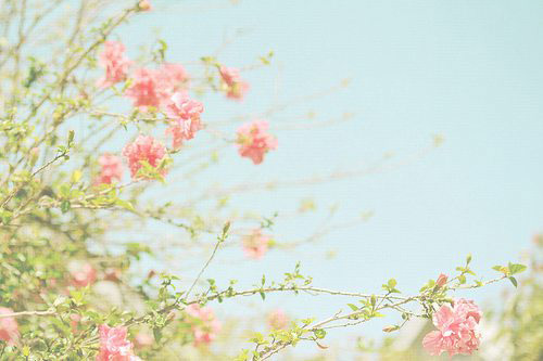 2023年快过去了的心情文案说说(即将过去的文案)