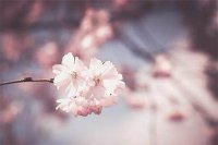 ​阴阳师私服网名