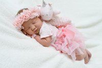 ​绝地求生网名