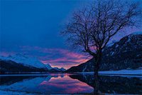 ​抖音网名大全