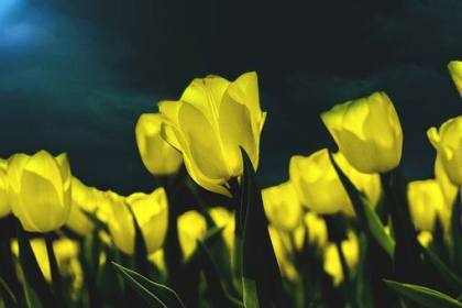 繁体字快手个性网名