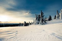 ​伤心的句子说说心情伤心绝望的句子说说心情(精选75句)