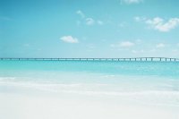 ​心情语录版性签名92句